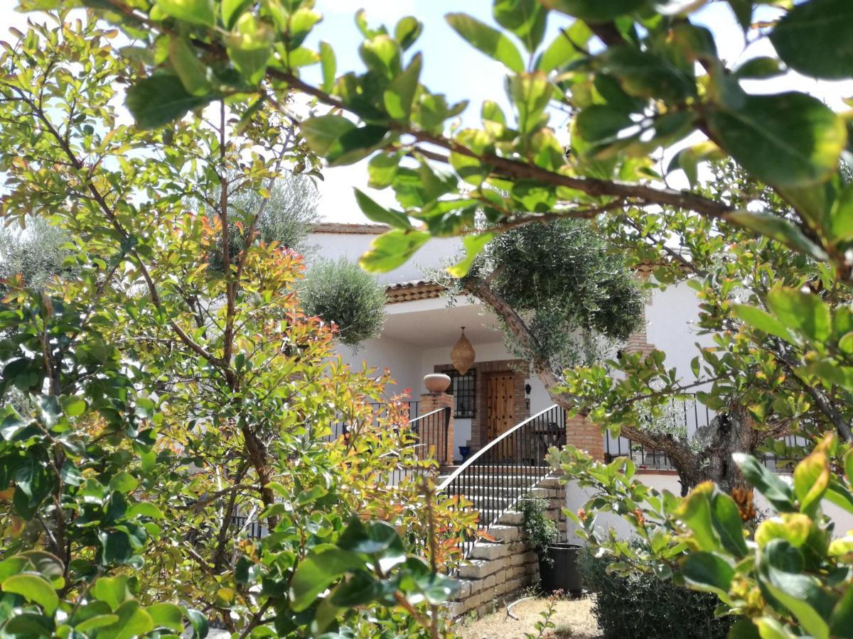 Casa Rural La Amistad Villa Burguillos de Toledo Kültér fotó