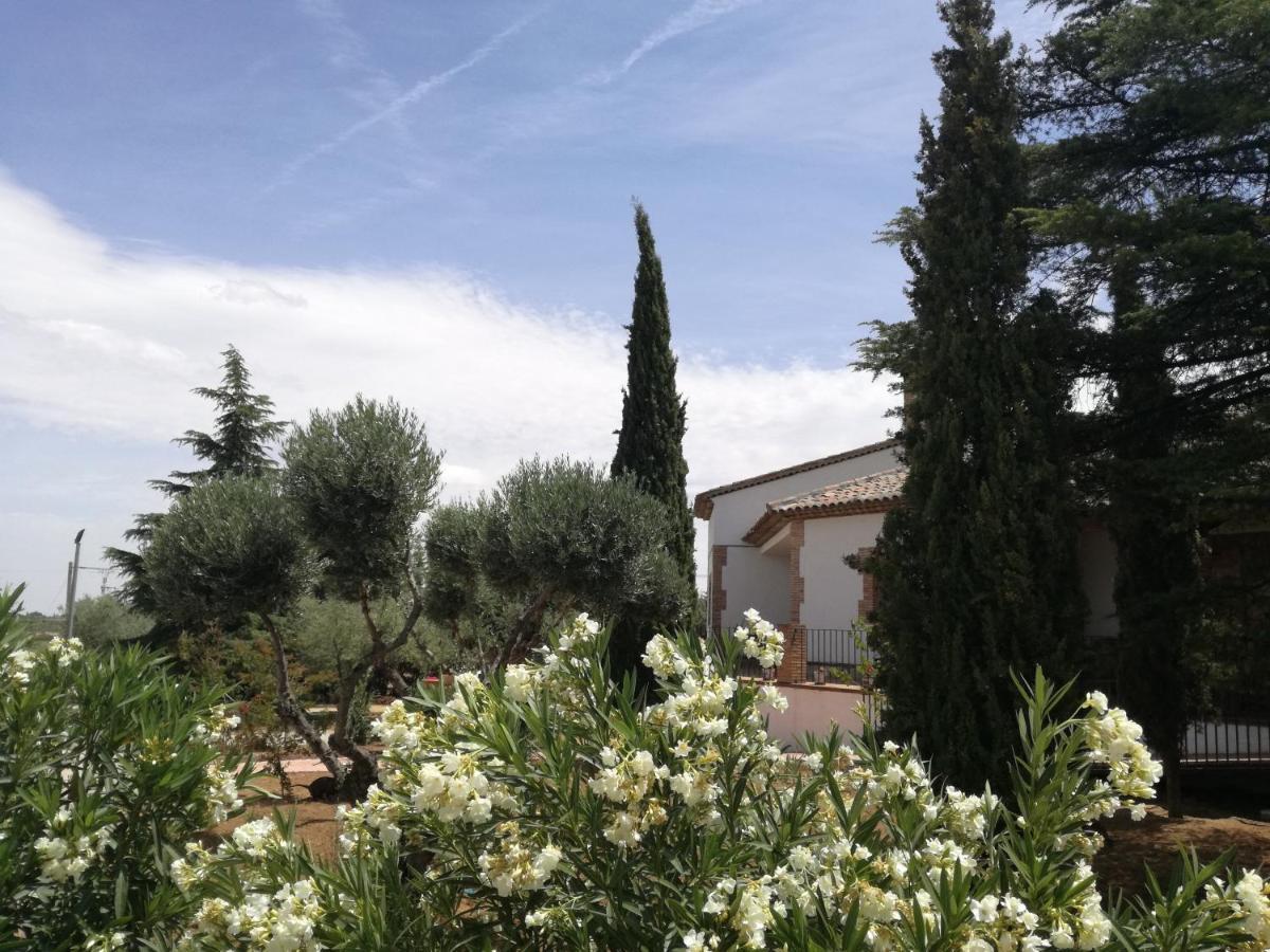 Casa Rural La Amistad Villa Burguillos de Toledo Kültér fotó
