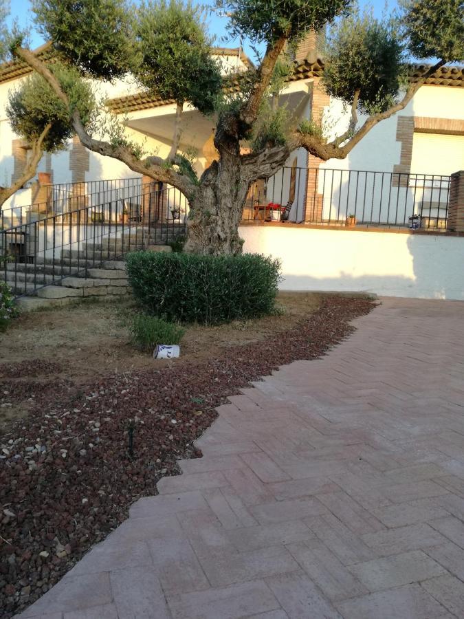 Casa Rural La Amistad Villa Burguillos de Toledo Kültér fotó
