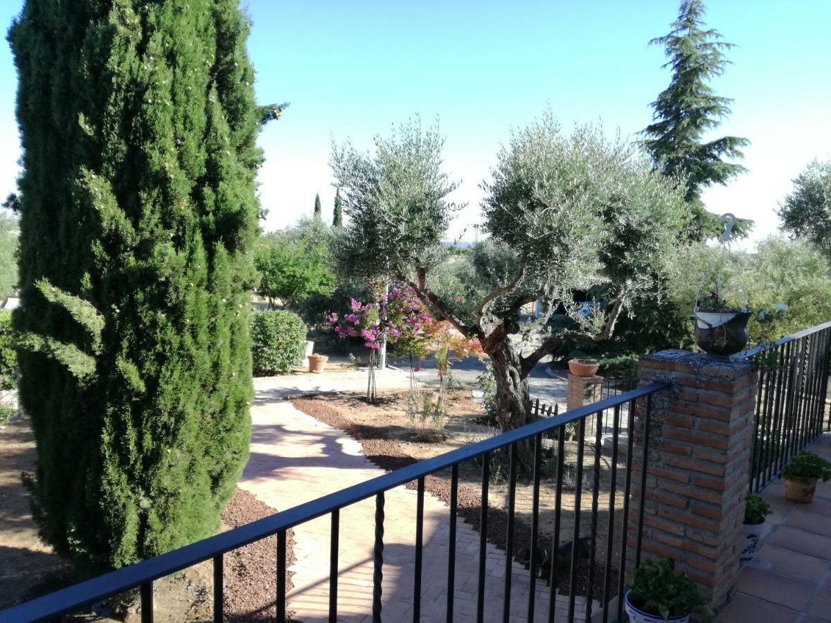 Casa Rural La Amistad Villa Burguillos de Toledo Kültér fotó