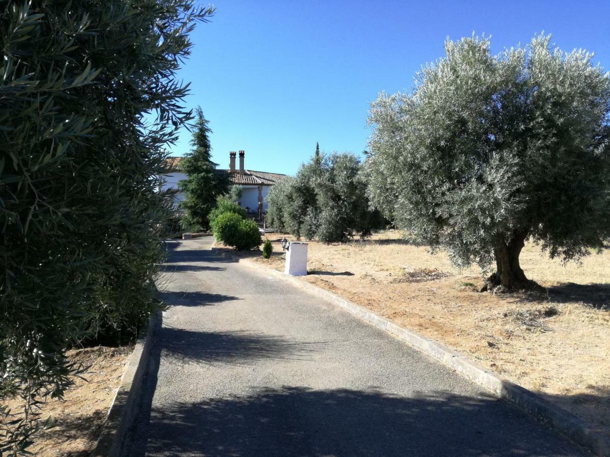 Casa Rural La Amistad Villa Burguillos de Toledo Kültér fotó