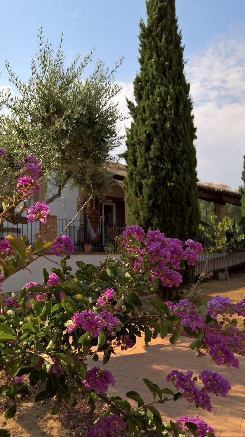 Casa Rural La Amistad Villa Burguillos de Toledo Kültér fotó