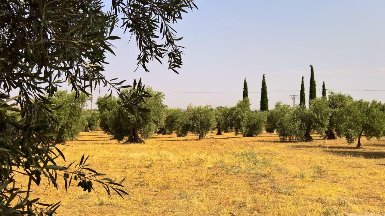 Casa Rural La Amistad Villa Burguillos de Toledo Kültér fotó